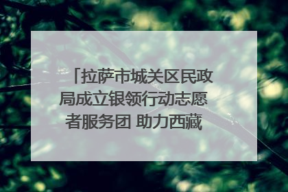 拉萨市城关区民政局成立银领行动志愿者服务团 助力西藏银发经济发展