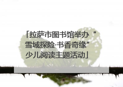 拉萨市图书馆举办“雪域探险·书香奇缘”少儿阅读主题活动