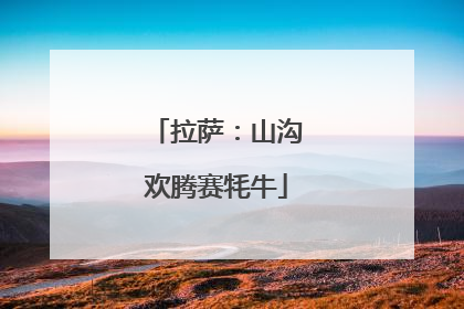 拉萨：山沟欢腾赛牦牛