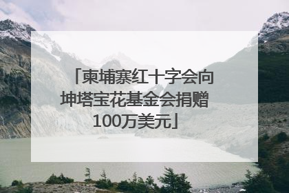 柬埔寨红十字会向坤塔宝花基金会捐赠100万美元