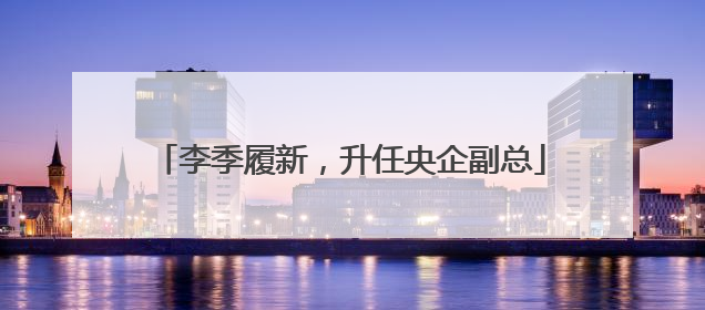李季履新，升任央企副总