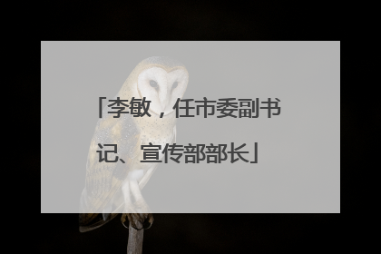 李敏，任市委副书记、宣传部部长