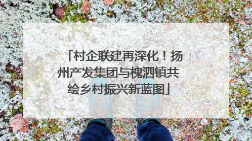 村企联建再深化！扬州产发集团与槐泗镇共绘乡村振兴新蓝图