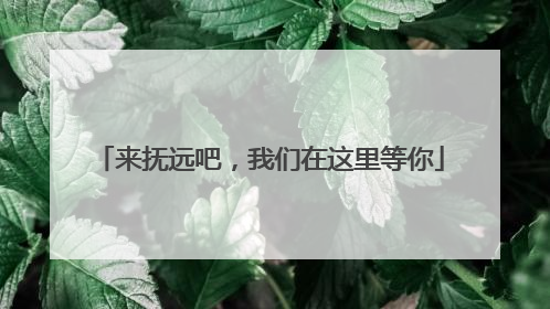 来抚远吧，我们在这里等你