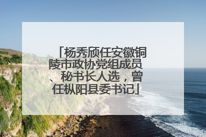 杨秀颀任安徽铜陵市政协党组成员、秘书长人选，曾任枞阳县委书记