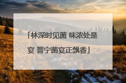 林深时见菌 味浓处是宴 晋宁菌宴正飘香