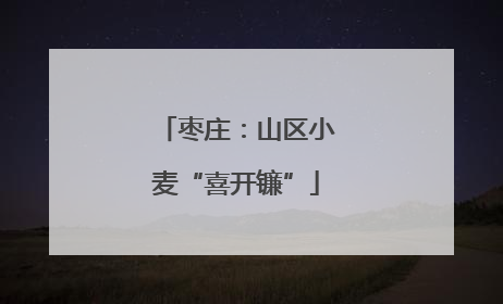 枣庄：山区小麦“喜开镰”