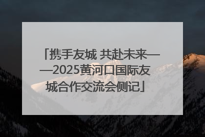 携手友城 共赴未来——2025黄河口国际友城合作交流会侧记