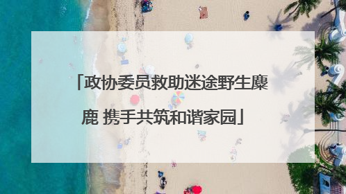 政协委员救助迷途野生麋鹿 携手共筑和谐家园