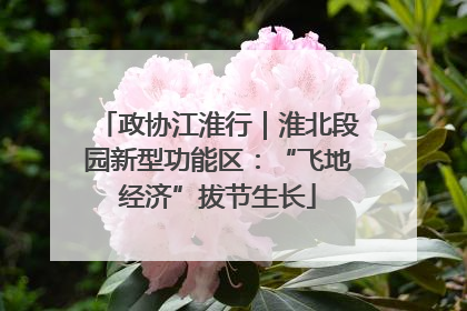 政协江淮行｜淮北段园新型功能区：“飞地经济”拔节生长