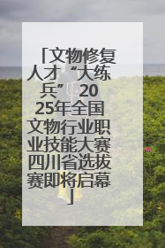 文物修复人才“大练兵” 2025年全国文物行业职业技能大赛四川省选拔赛即将启幕