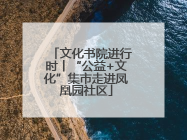 文化书院进行时丨“公益+文化”集市走进凤凰园社区