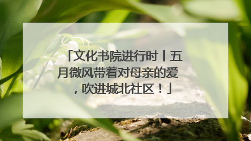 文化书院进行时丨五月微风带着对母亲的爱，吹进城北社区！
