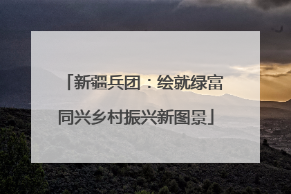 新疆兵团：绘就绿富同兴乡村振兴新图景