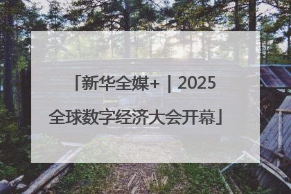 新华全媒+｜2025全球数字经济大会开幕