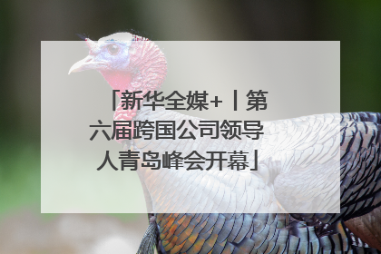 新华全媒+丨第六届跨国公司领导人青岛峰会开幕