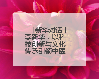 新华对话丨李新华：以科技创新与文化传承引领中医药品牌发展