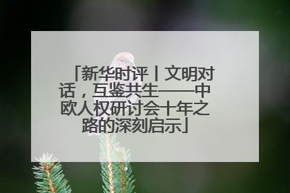 新华时评丨文明对话，互鉴共生——中欧人权研讨会十年之路的深刻启示