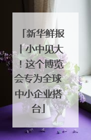 新华鲜报丨小中见大！这个博览会专为全球中小企业搭台