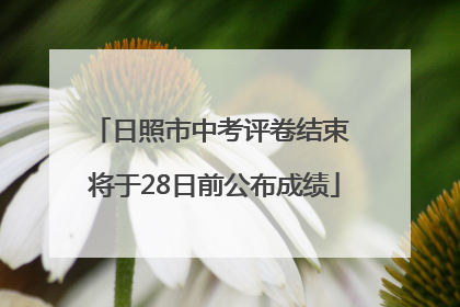 日照市中考评卷结束 将于28日前公布成绩