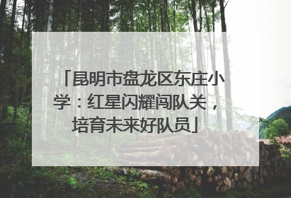 昆明市盘龙区东庄小学：红星闪耀闯队关，培育未来好队员