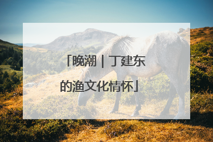 晚潮｜丁建东的渔文化情怀