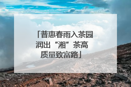 普惠春雨入茶园 润出“湘”茶高质量致富路