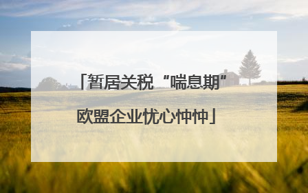 暂居关税“喘息期” 欧盟企业忧心忡忡