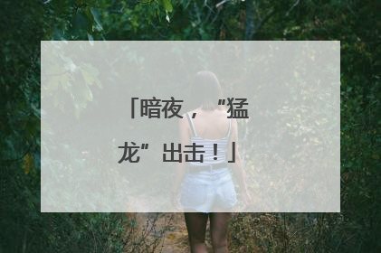 暗夜，“猛龙”出击！