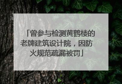 曾参与检测黄鹤楼的老牌建筑设计院，因防火规范疏漏被罚