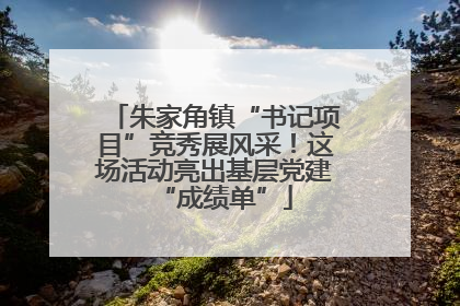 朱家角镇“书记项目”竞秀展风采！这场活动亮出基层党建“成绩单”