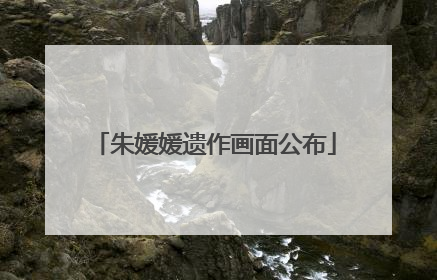 朱媛媛遗作画面公布