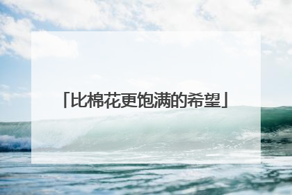 比棉花更饱满的希望
