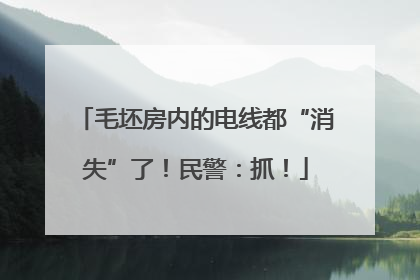 毛坯房内的电线都“消失”了！民警：抓！