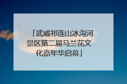 武威祁连山冰沟河景区第二届马兰花文化嘉年华启幕