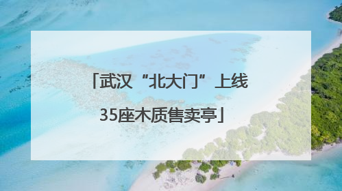 武汉“北大门”上线35座木质售卖亭
