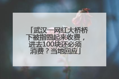 武汉一网红大桥桥下被指圈起来收费，进去100块还必须消费？当地回应
