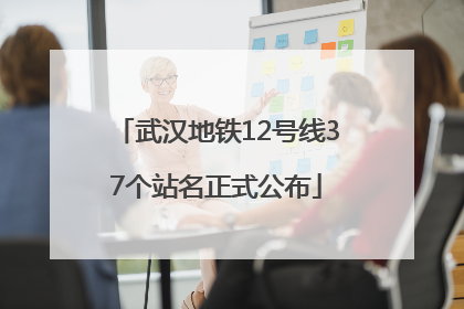 武汉地铁12号线37个站名正式公布