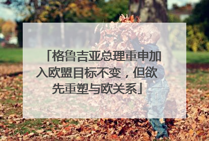 格鲁吉亚总理重申加入欧盟目标不变，但欲先重塑与欧关系