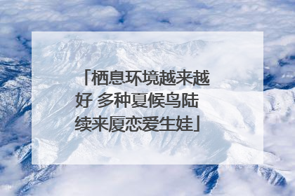 栖息环境越来越好 多种夏候鸟陆续来厦恋爱生娃