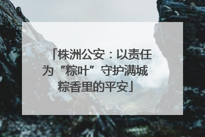 株洲公安：以责任为“粽叶”守护满城粽香里的平安