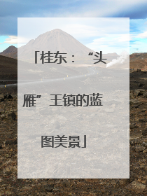 桂东：“头雁”王镇的蓝图美景