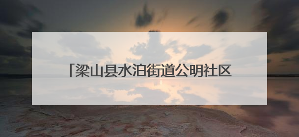 梁山县水泊街道公明社区开展“普惠托育 科学育儿”主题托育服务宣传活动