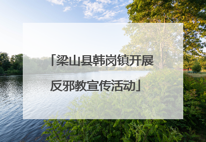 梁山县韩岗镇开展反邪教宣传活动