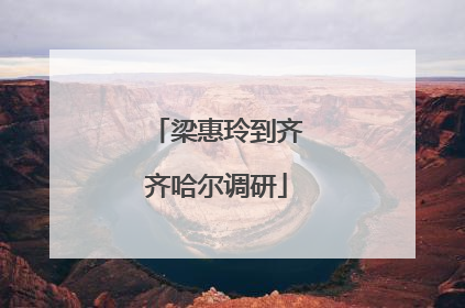 梁惠玲到齐齐哈尔调研