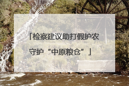 检察建议助打假护农守护“中原粮仓”