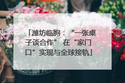 潍坊临朐：“一张桌子谈合作” 在“家门口”实现与全球接轨