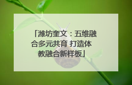 潍坊奎文：五维融合多元共育 打造体教融合新样板