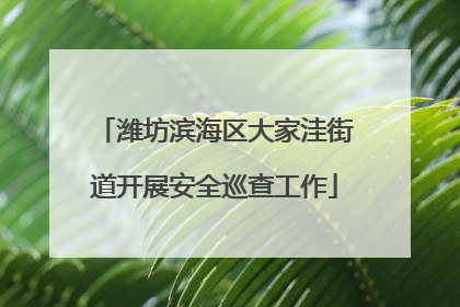 潍坊滨海区大家洼街道开展安全巡查工作