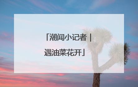 潮闻小记者｜遇油菜花开